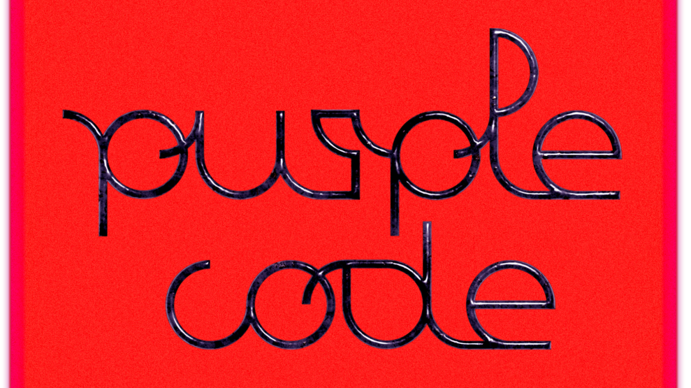 Purple Code. Intersectional feminist perspectives on digital societies